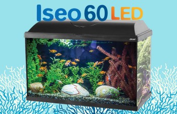 Aquarium équipé avec filtre cascade et Led coloris noir Zolux