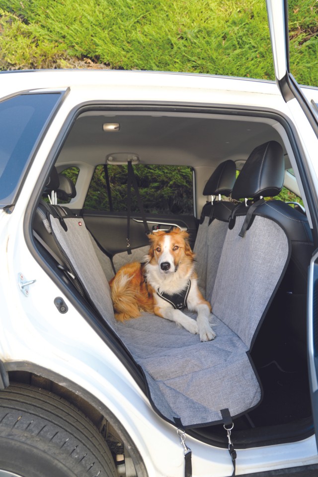 protection siège arrière voiture chien calme