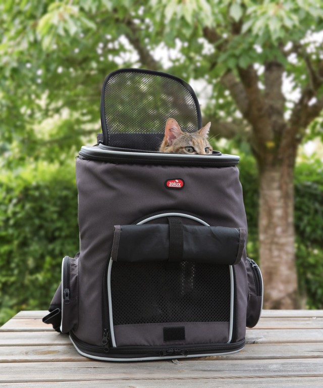 Sac de transport chat petit chien