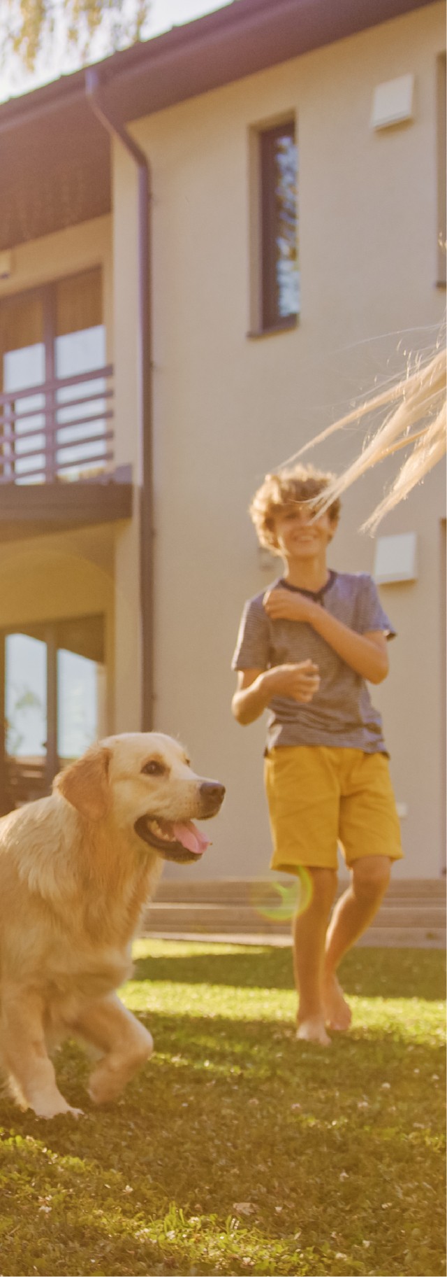 Jeu chien extérieur