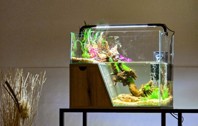 Aquarium 2 niveaux Maya zolux