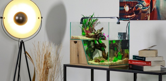 Aquarium Maya 20 L et 30 L