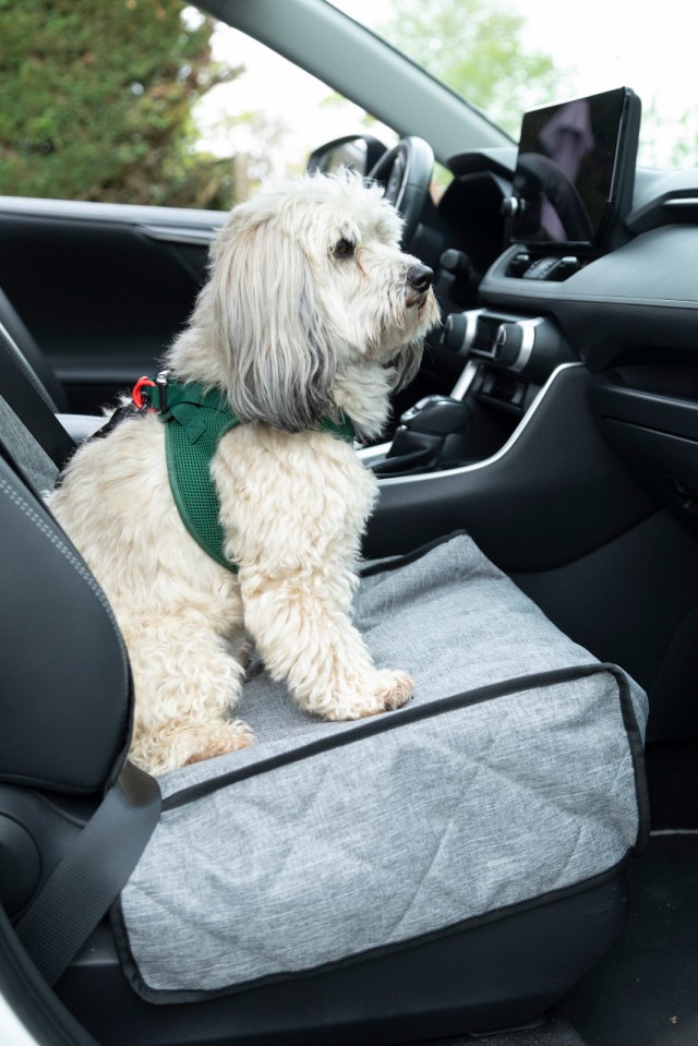 Transport chien voiture couverture siege avant Zolux