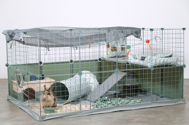parc modulable pour lapin