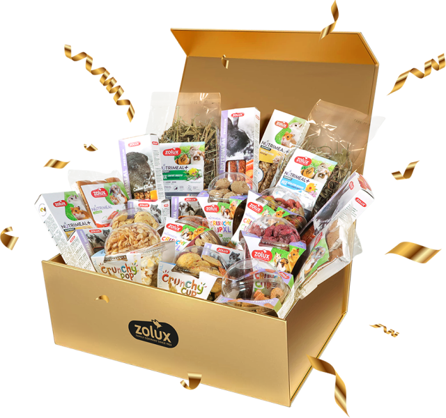 Gagnez 1 an de friandises