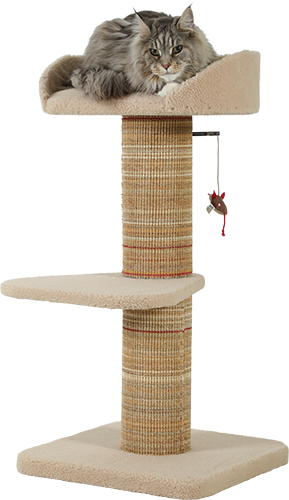 Arbre à chat 95cm boreal zolux pour gros chat