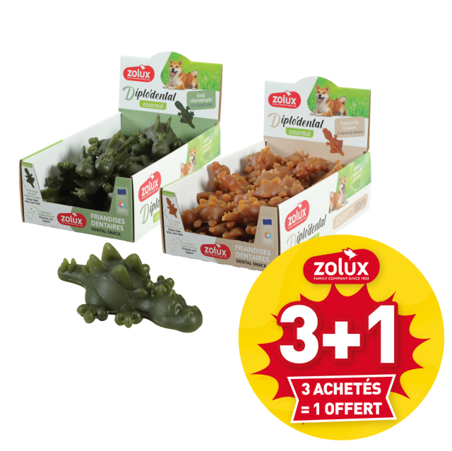 3 Diplodental achetés = 1 OFFERT