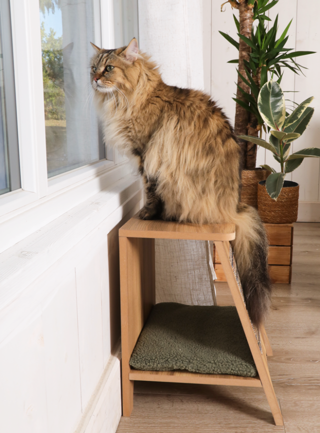 Console griffoir d'observation pour chat Boreal Zolux