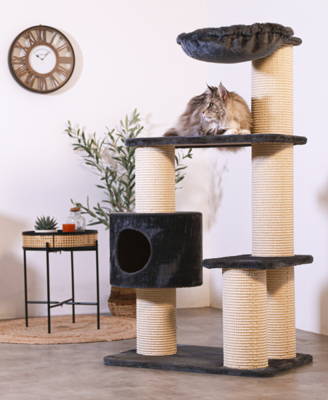 Arbre à chat Zolux Big Cat avec grande base stable