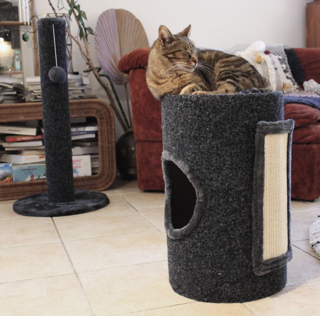 Arbre à chat et griffoir Zolux Oliver en tapis aiguilleté