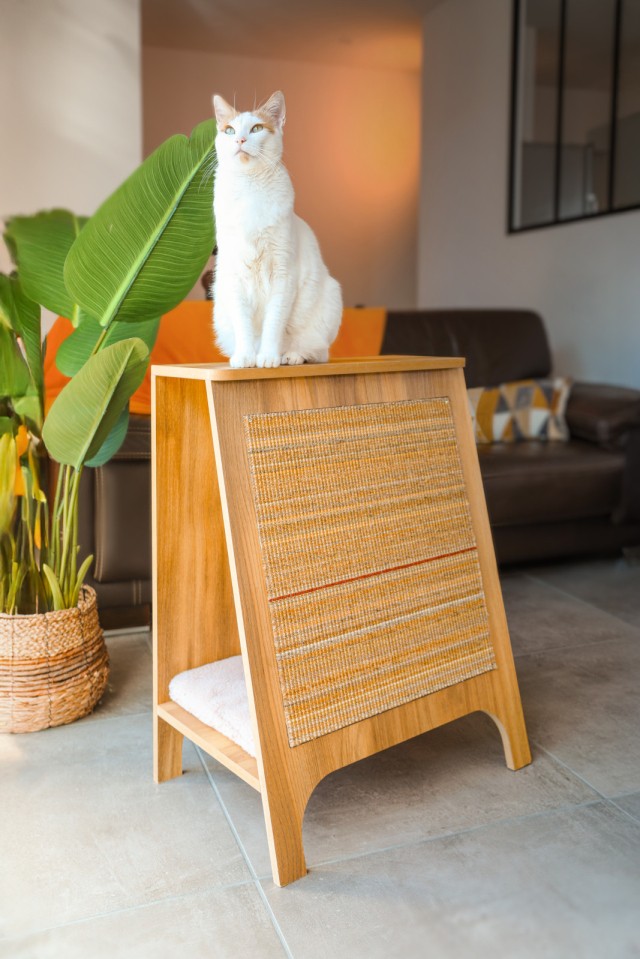 Console d'observation griffoir pour chat Boreal Zolux