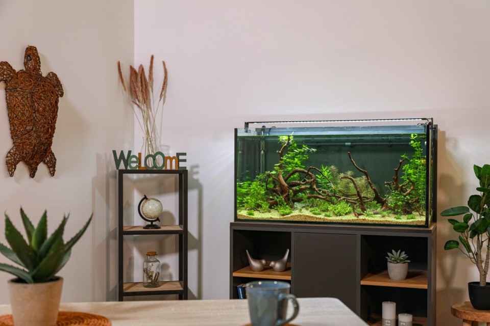 Picture Idea: Aquariums Idromax Volume Xxl