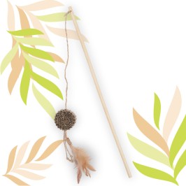 ETHI'CAT carton disque