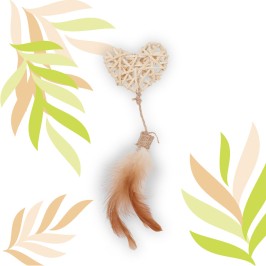 ETHI'CAT rotin cœur