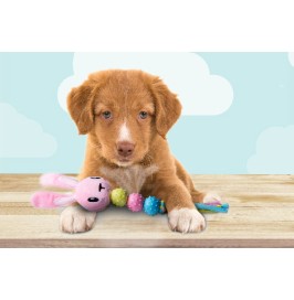 Jouets en peluche XS