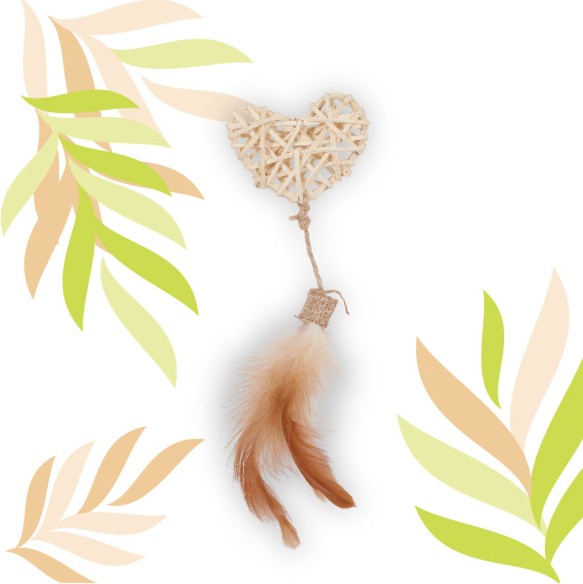 ETHI'CAT rotin cœur