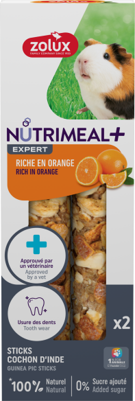 Stick premium cochon d'inde orange