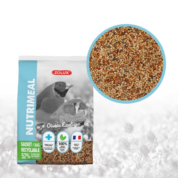 OISEAU EXOTIQUE - MÉLANGE