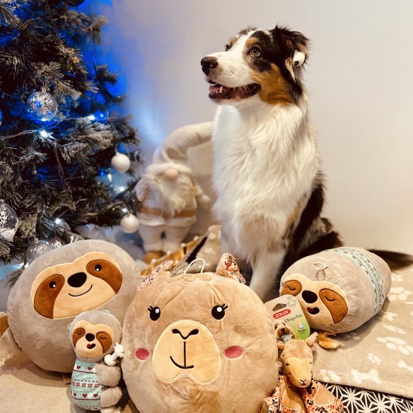 Photo de la communauté numéro 5