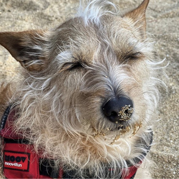 Photo de la communauté numéro 4