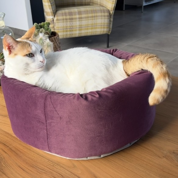 Photo de la communauté numéro 3