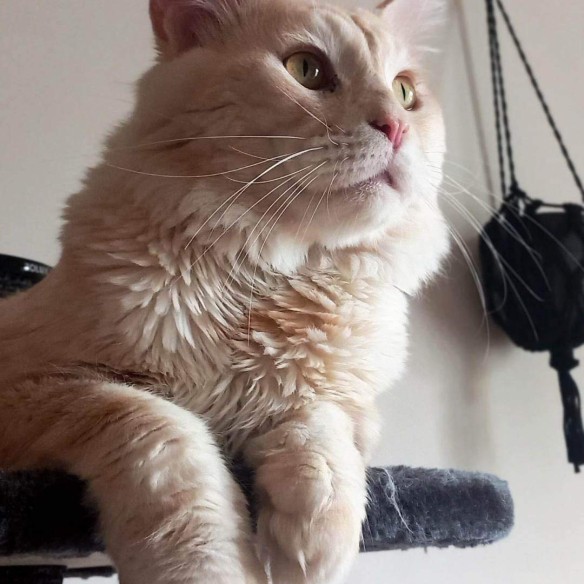 Photo de la communauté numéro 2