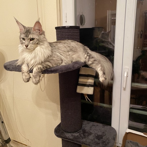 Photo de la communauté numéro 1