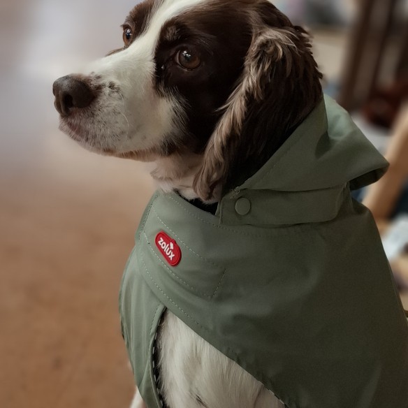 Photo de la communauté numéro 1