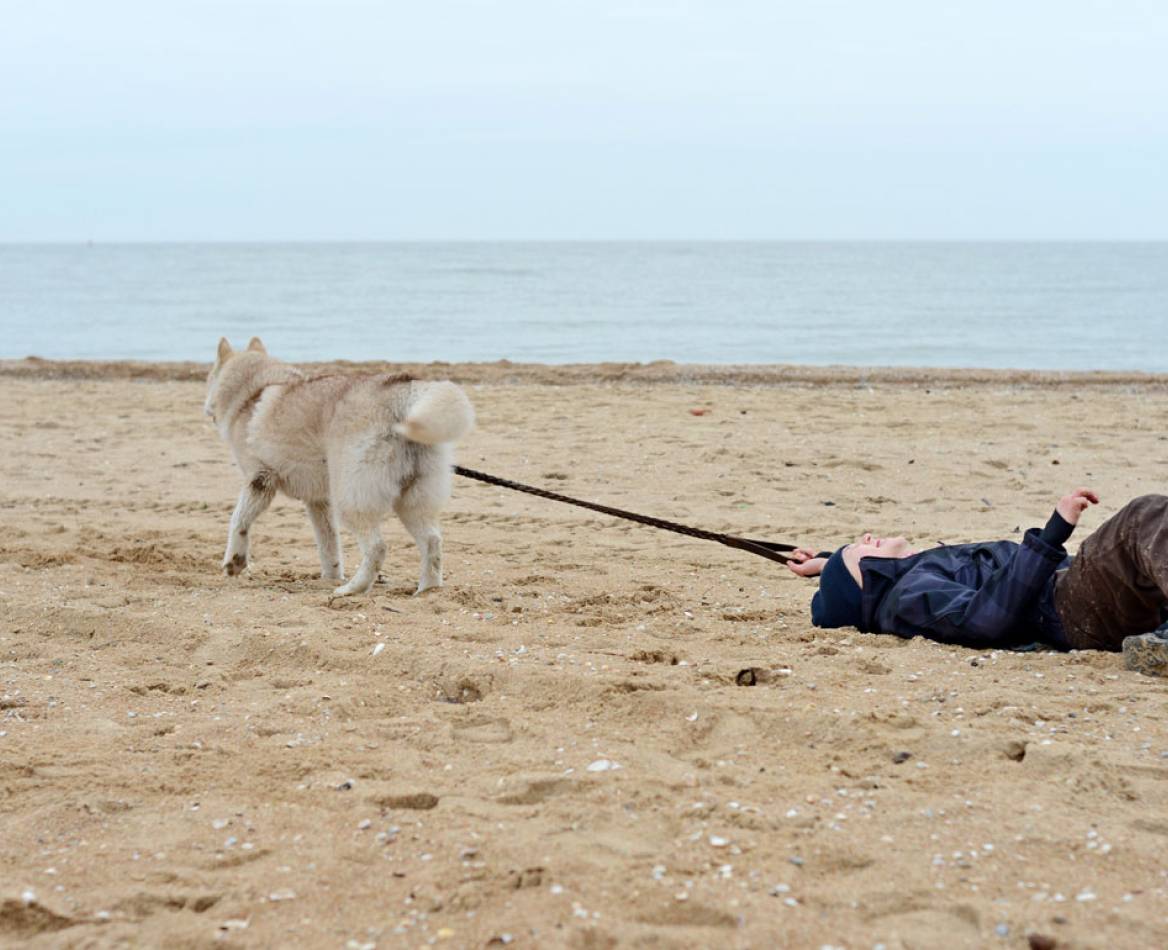 mon-chien-tire-en-laisse-zolux
