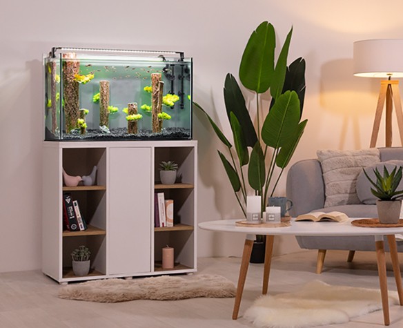 Les produits   Aquarium et meuble - Aquarium 160 L
