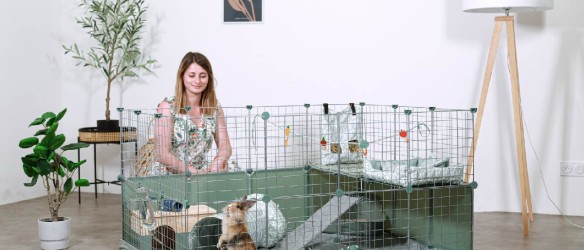Zolux Cage de Transport pour Chien 88 x 51 x 58 cm : : Animalerie