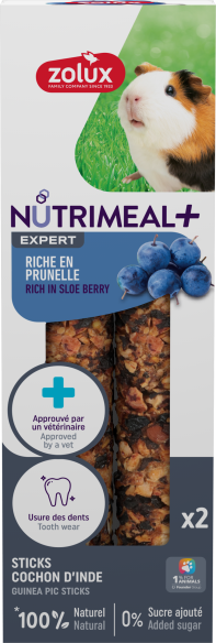 Stick premium cochon d'inde prunelle