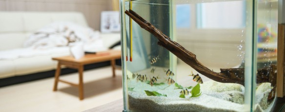 Les bienfaits de l'aqua