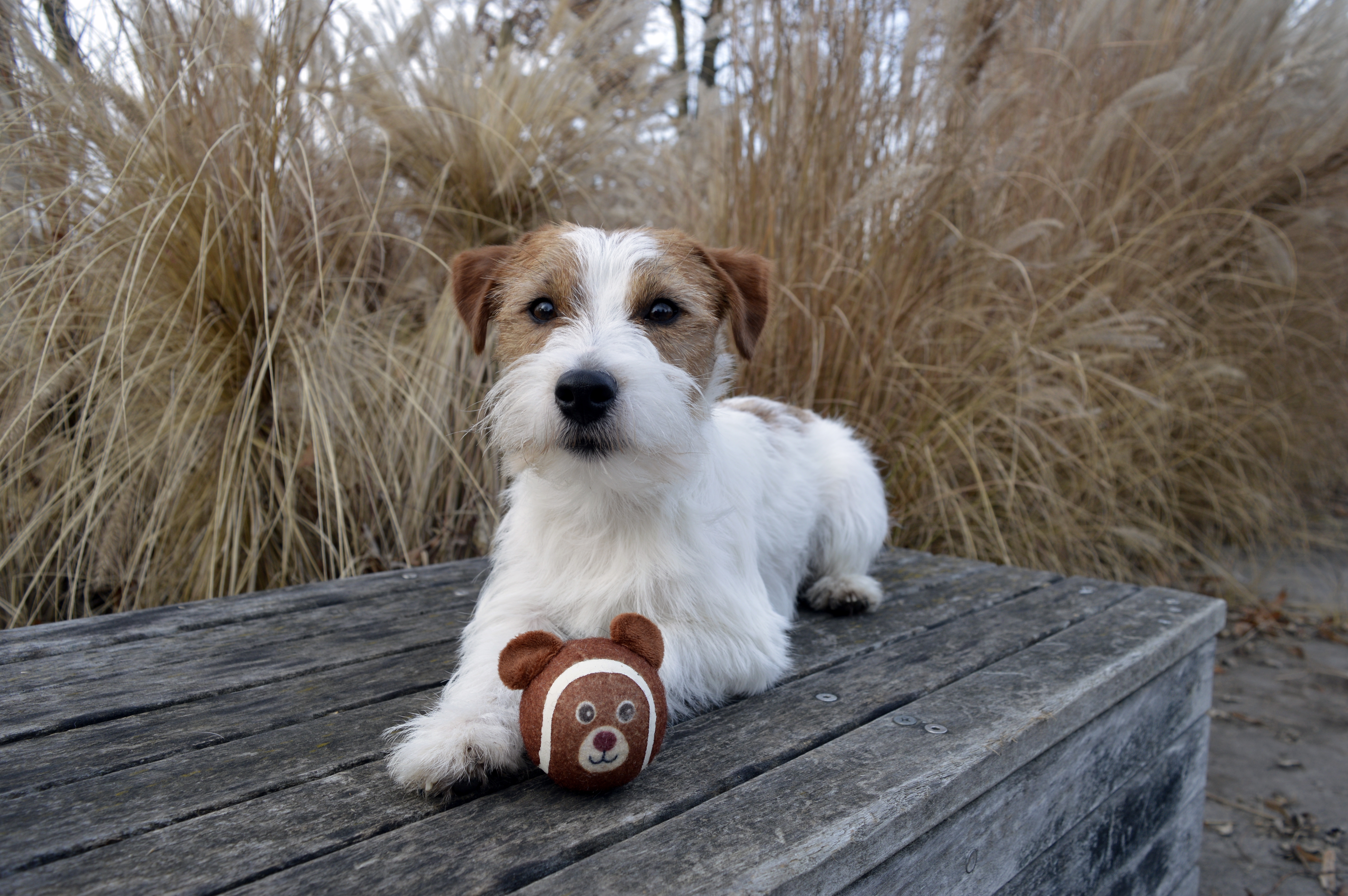 Photo de la communauté numéro 288