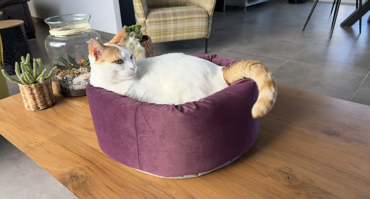 Photo de la communauté numéro 289