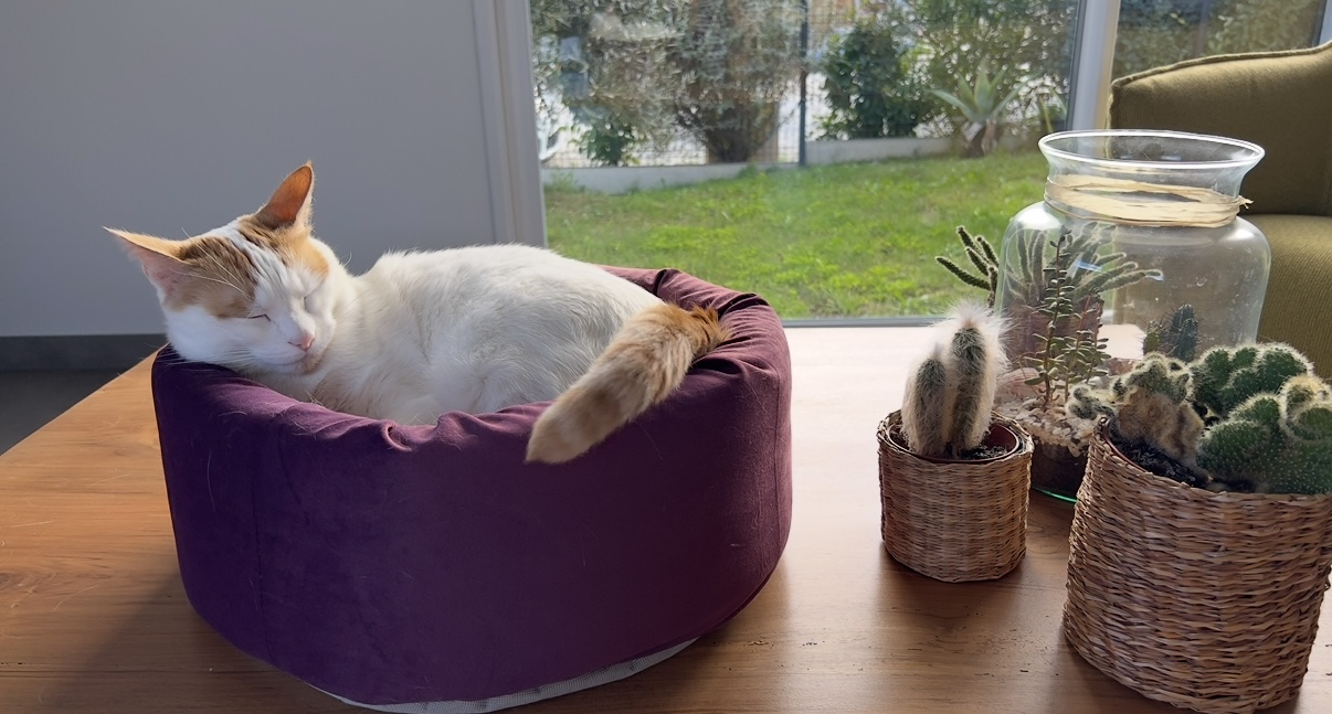 Photo de la communauté numéro 290