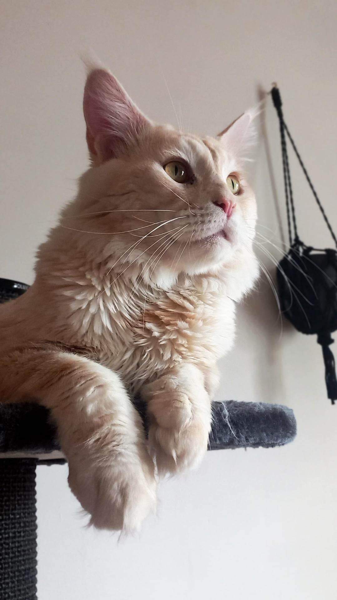 Photo de la communauté numéro 292