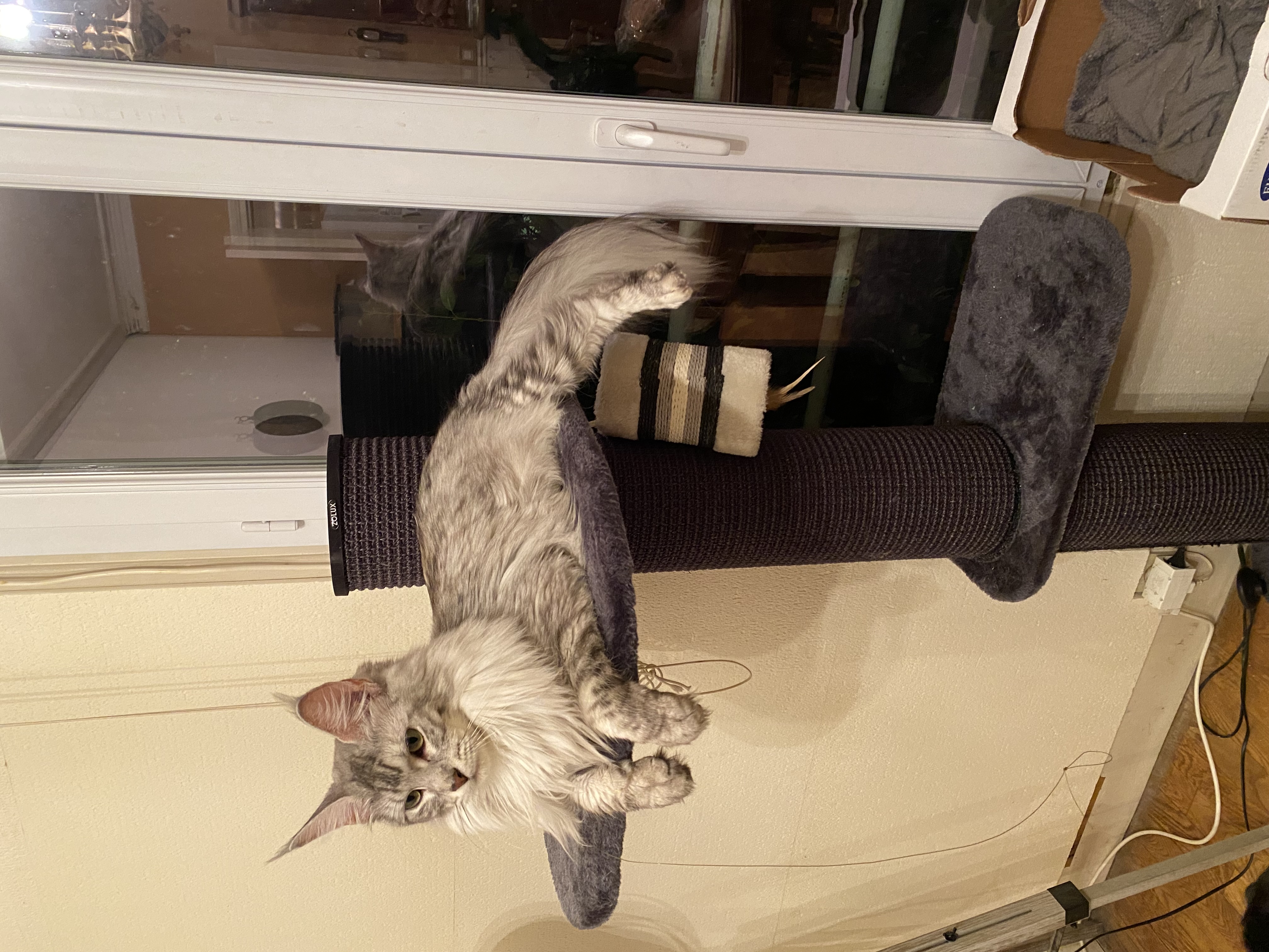 Photo de la communauté numéro 293