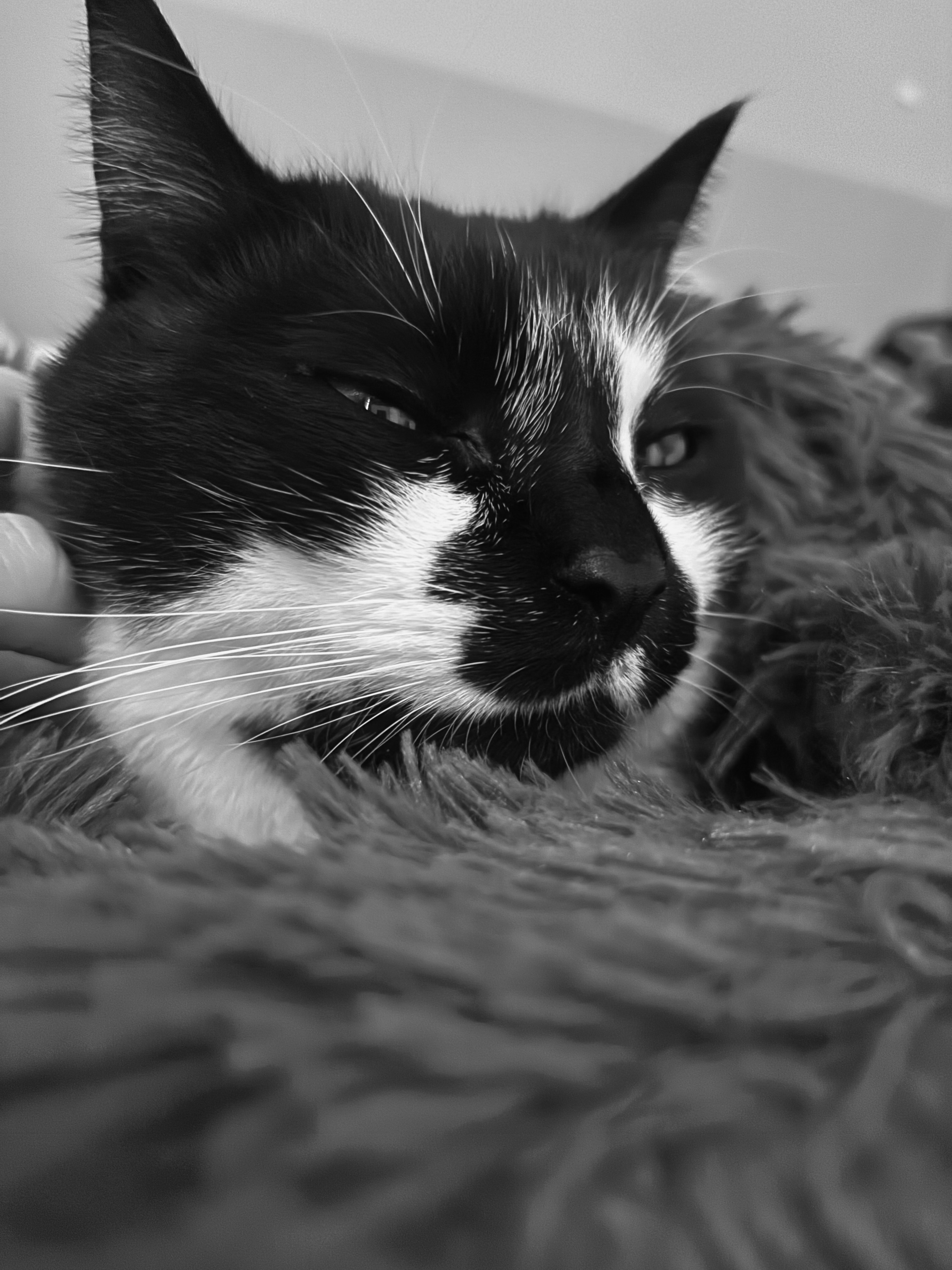 Photo de la communauté numéro 294