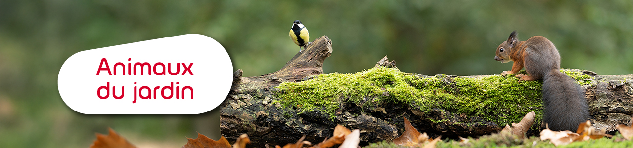 Aliment et accessoires animaux du jardin