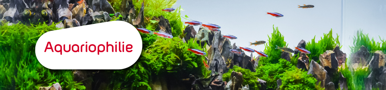 Catalogue produits pour aquarium zolux 