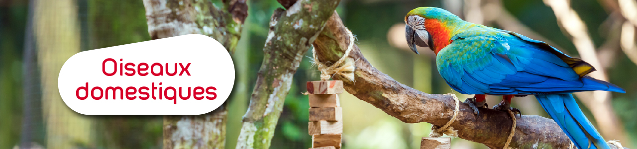 Catalogue produits oiseaux domestiques Zolux