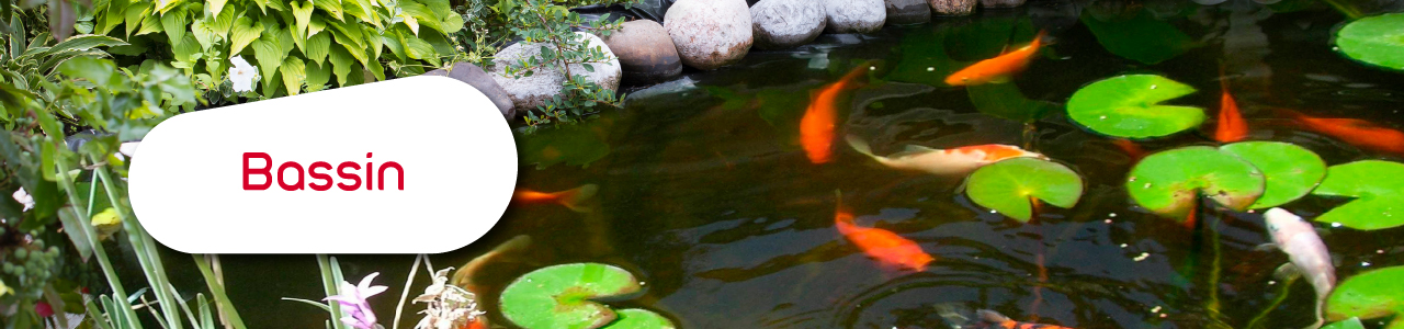 Catalogue produits pour bassin, poissons