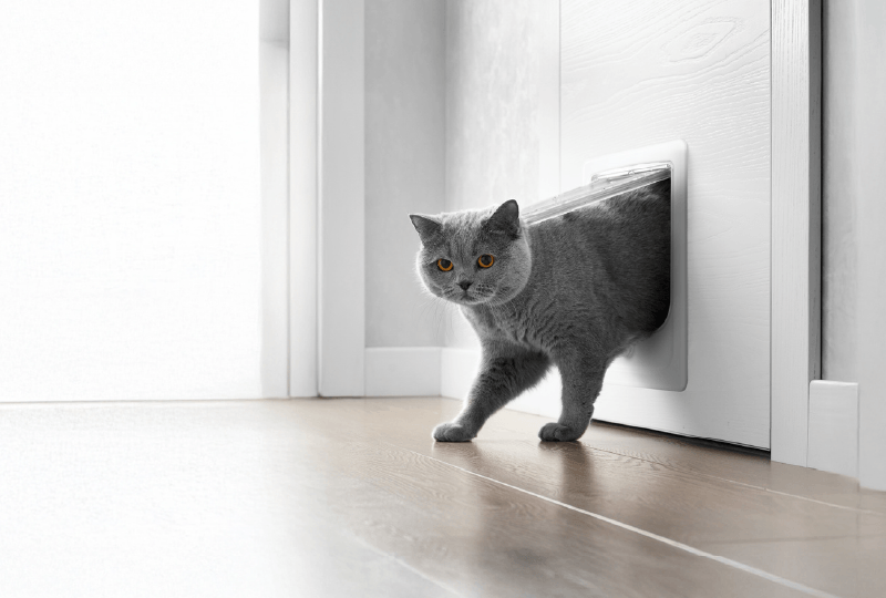 Notices et patron utilisation chati&egrave;re Catwalk Zolux