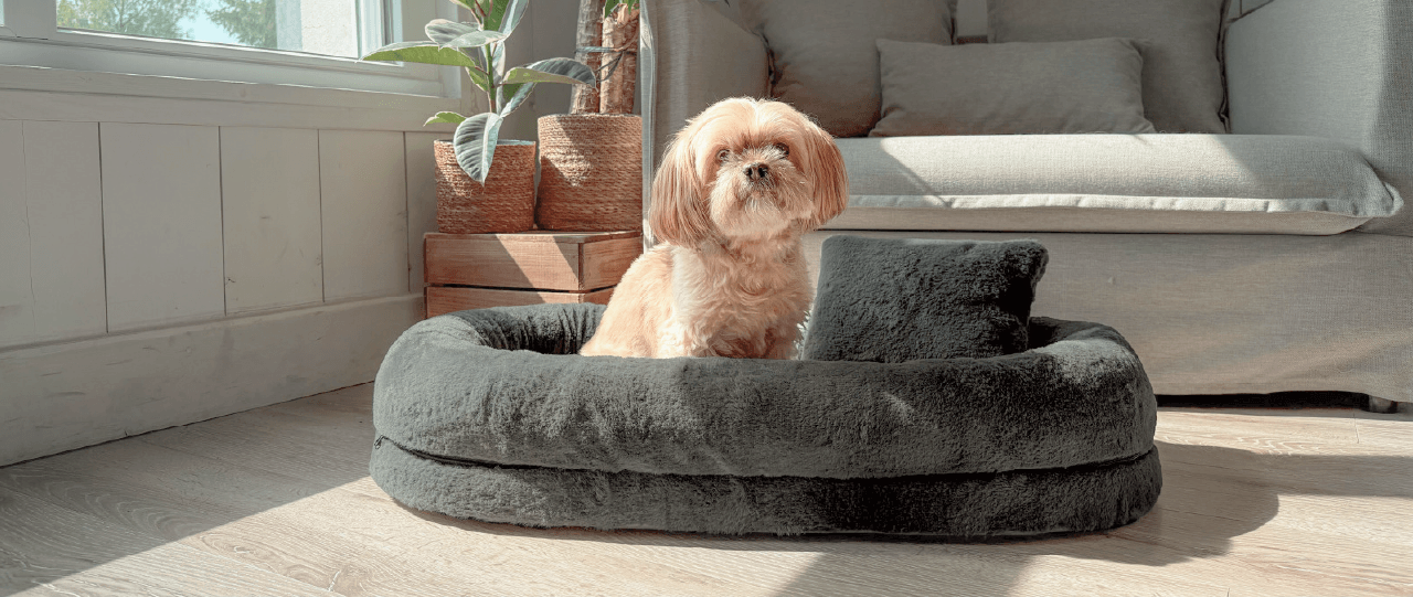 Coussin pour chien d&eacute;houssable Gaia Zolux