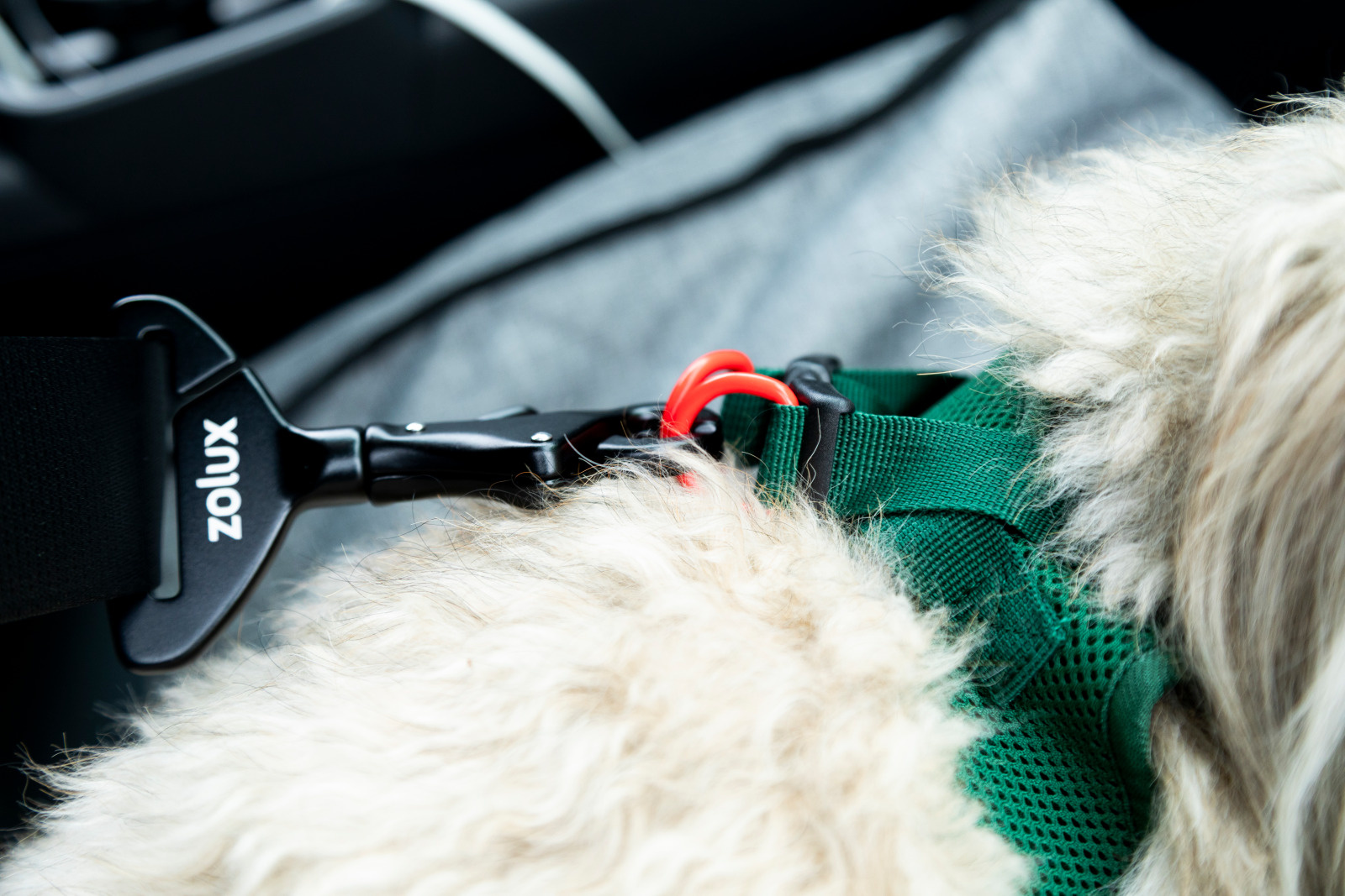 Crochet d'attache voiture chien zolux