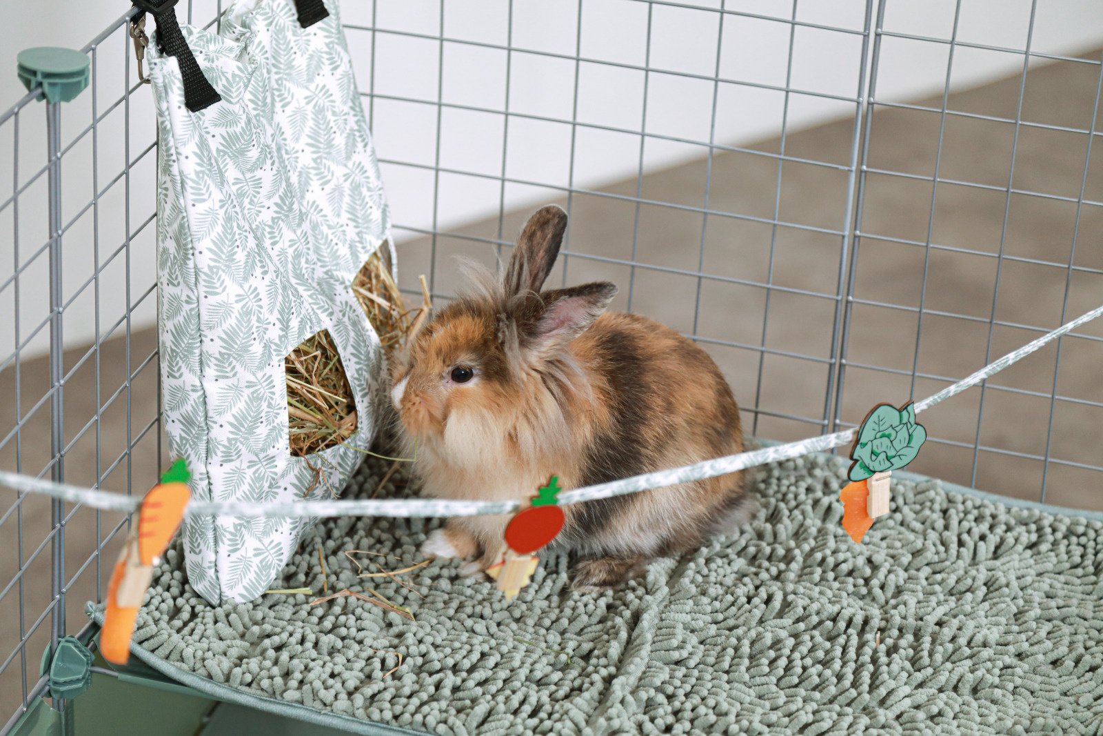 Jouet pour lapin petits pots - Jeu de fouille pour Lapin - Mon lapin Nain